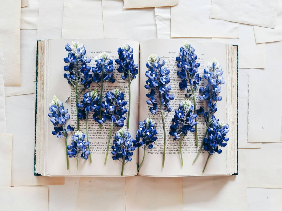 Box livre : découvrez un nouveau livre chaque mois ! - Booksterious