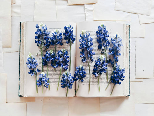 Box livre : découvrez un nouveau livre chaque mois ! - Booksterious