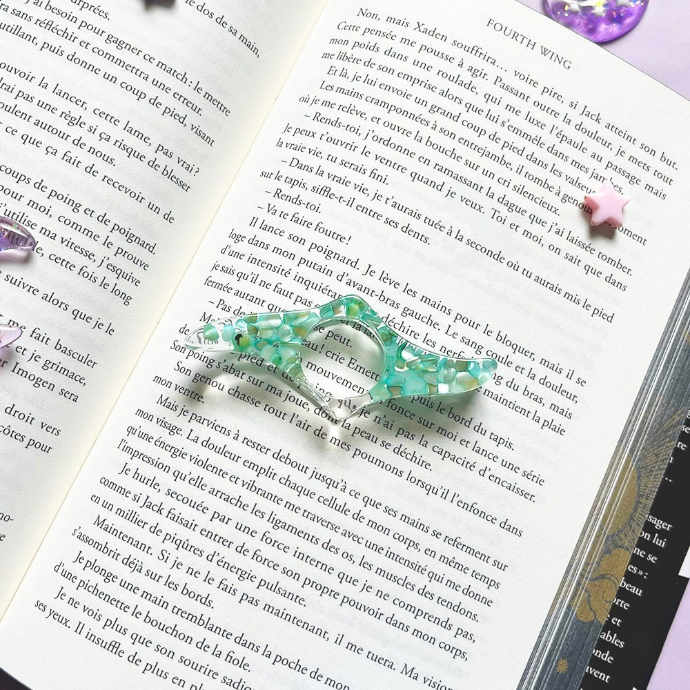 Bague de lecture - Booksterious